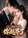 宋先生,你越界了
